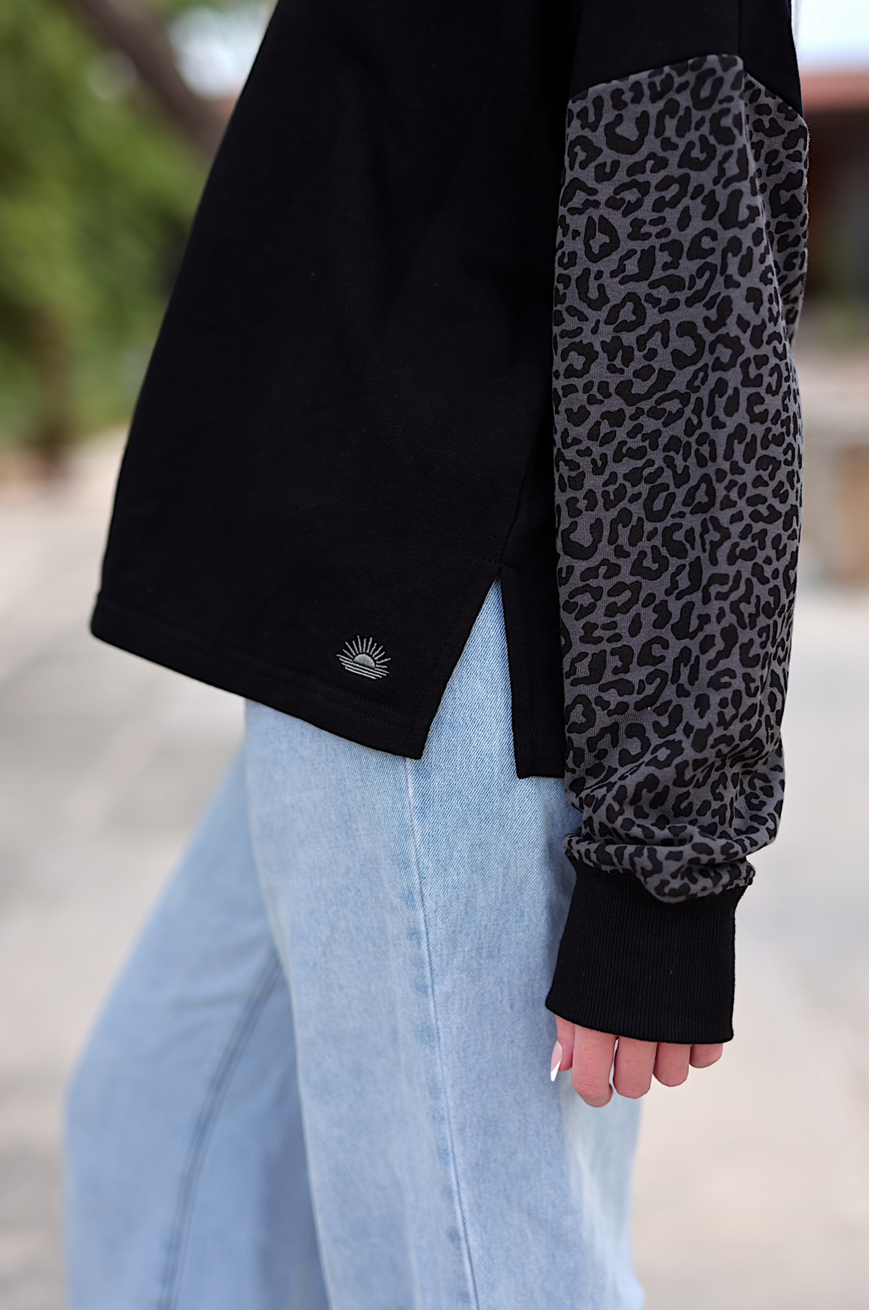 Midnight Cheetah