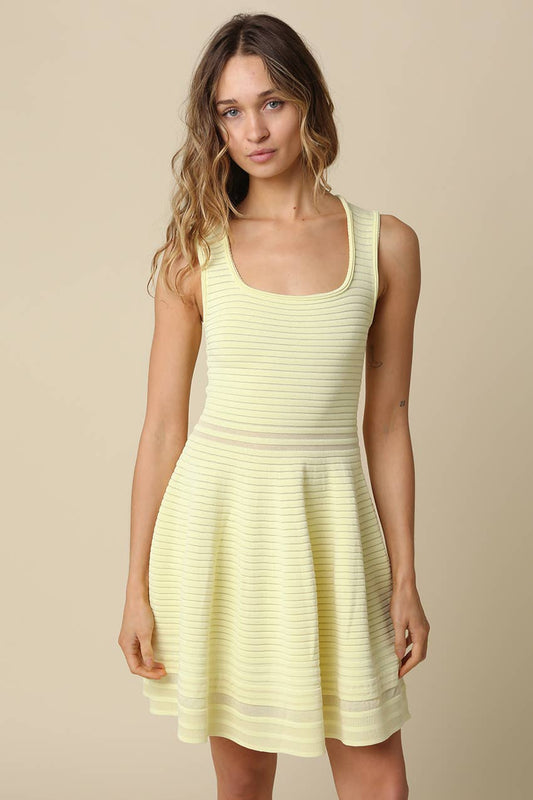 Eden Sleeveless Knit Flare Dress