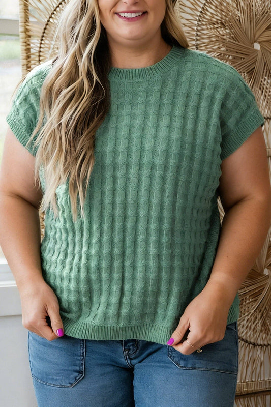 Curvy Mist Green Knit Top